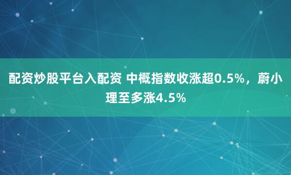配资炒股平台入配资 中概指数收涨超0.5%，蔚小理至多涨4.5%